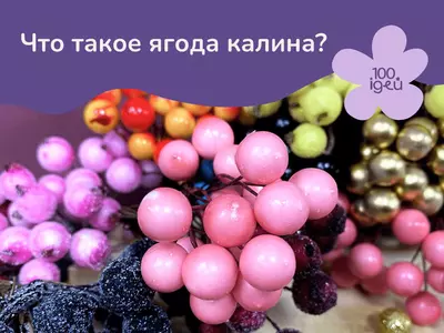 Ягода калина в рукоделии: новые возможности с Супермаркетом рукоделия 100 Идей