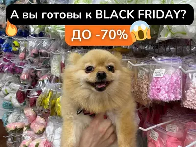 Грандиозная Чёрная Пятница в 100 идей: скидки до -70%!