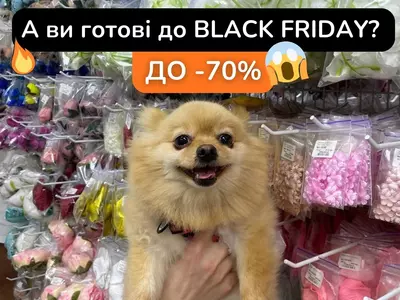 Грандіозна Чорна П’ятниця в 100 ідей: знижки до -70%!