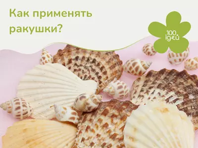 Как применять ракушки?