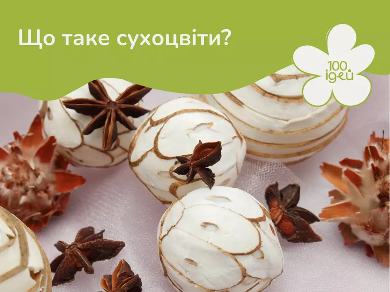 Що таке сухоцвіти?