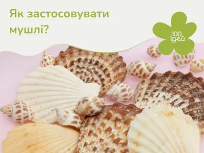 Як застосовувати мушлі?