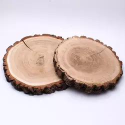 Зріз пеньок d=15-20 см, h=2-3 см