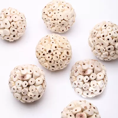 Сухоцвет Шарики Sola Ata Ball d=6 см белый