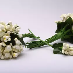 Тичинки айворі