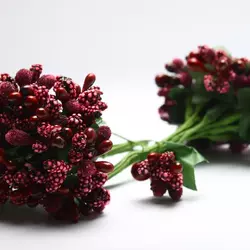 Тичинки бордові