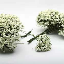 Травка для декора на зеленых ветках айвори