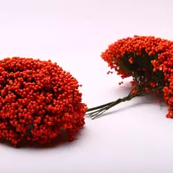 Травка для декору на зелених гілках червона