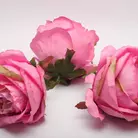 Цветы из ткани