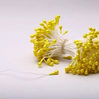 Тычинки пучком на ниточках средние желтые