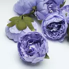 Флористика